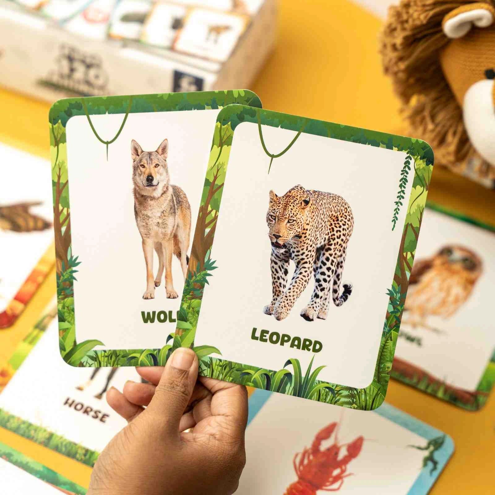 Animal Flashcards (120 Pictures) - Image 10