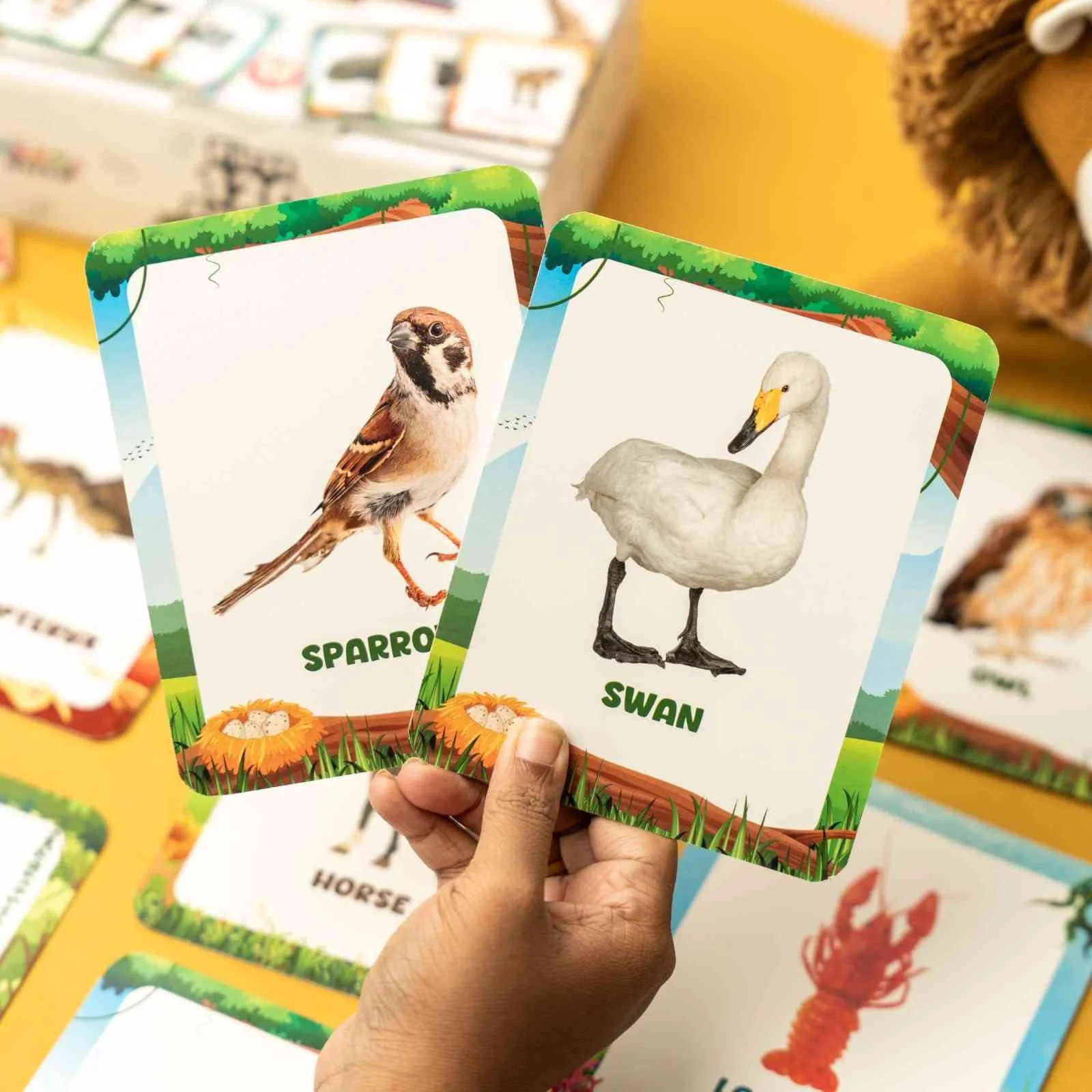Animal Flashcards (120 Pictures) - Image 5