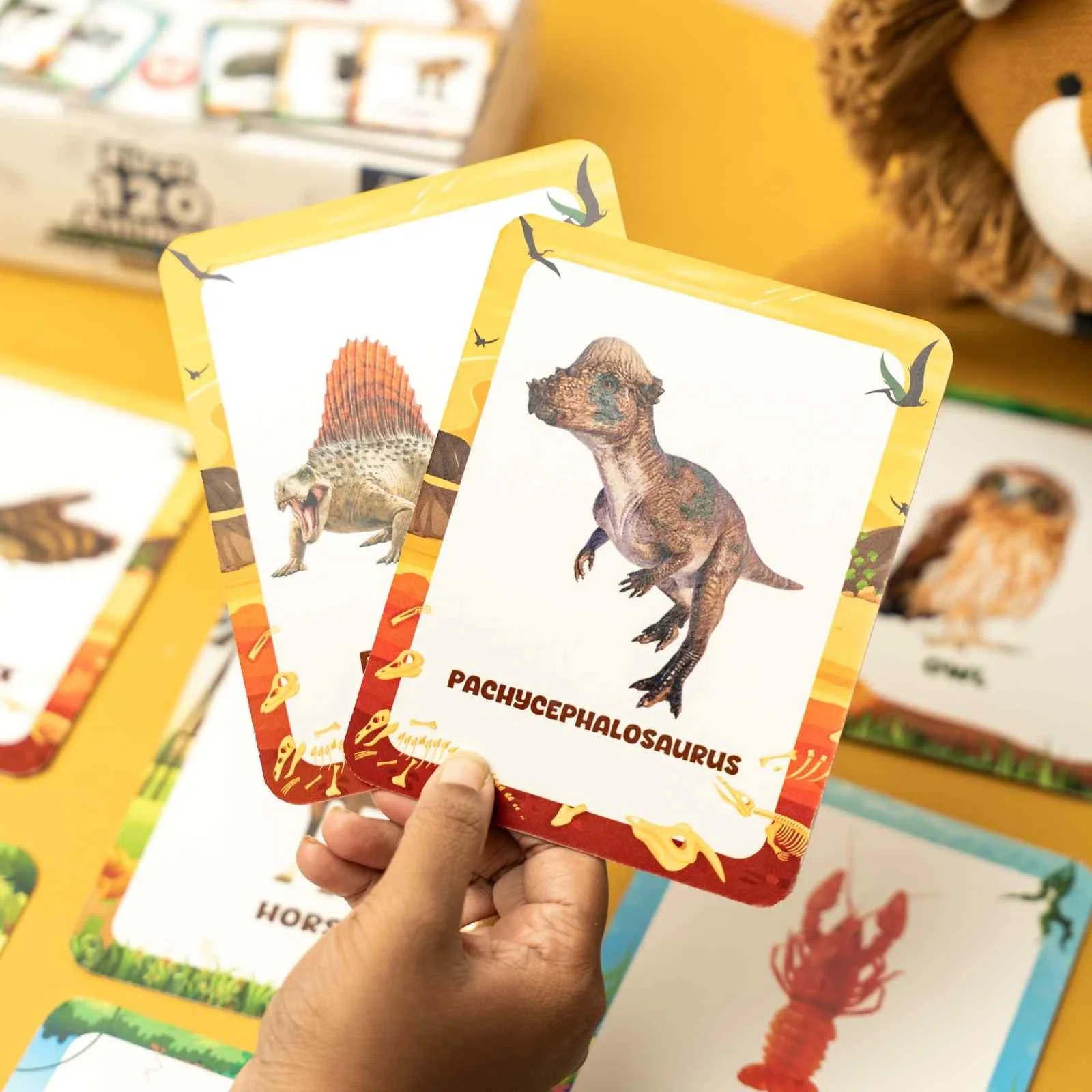 Animal Flashcards (120 Pictures) - Image 6