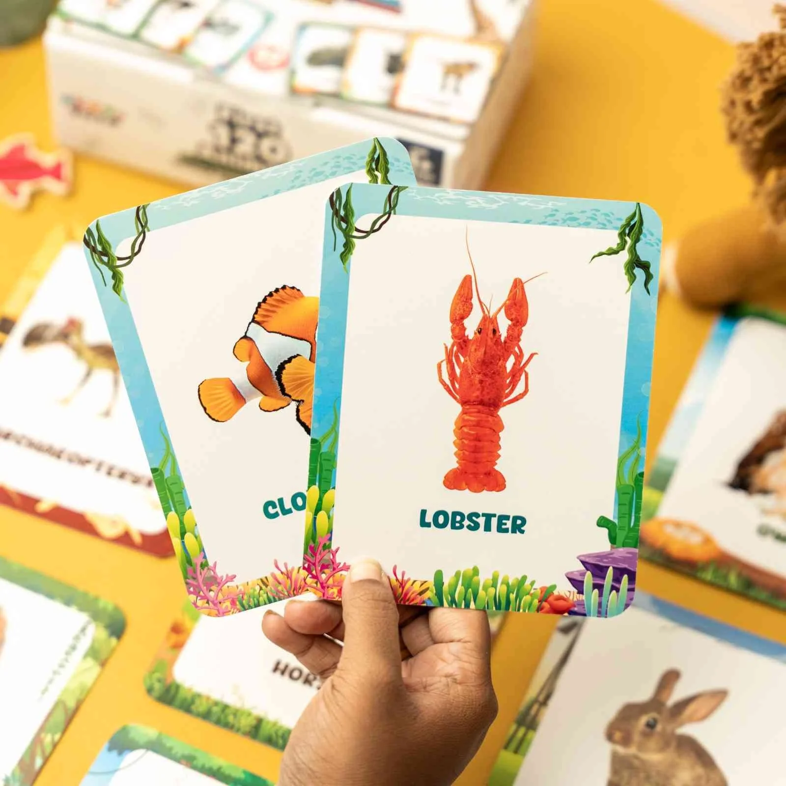 Animal Flashcards (120 Pictures) - Image 8