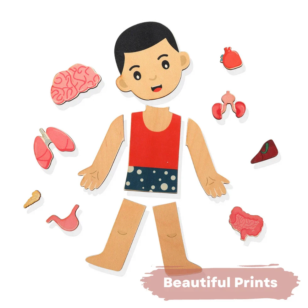 Human Body | Internal Organs Wooden Puzzle - Image 5