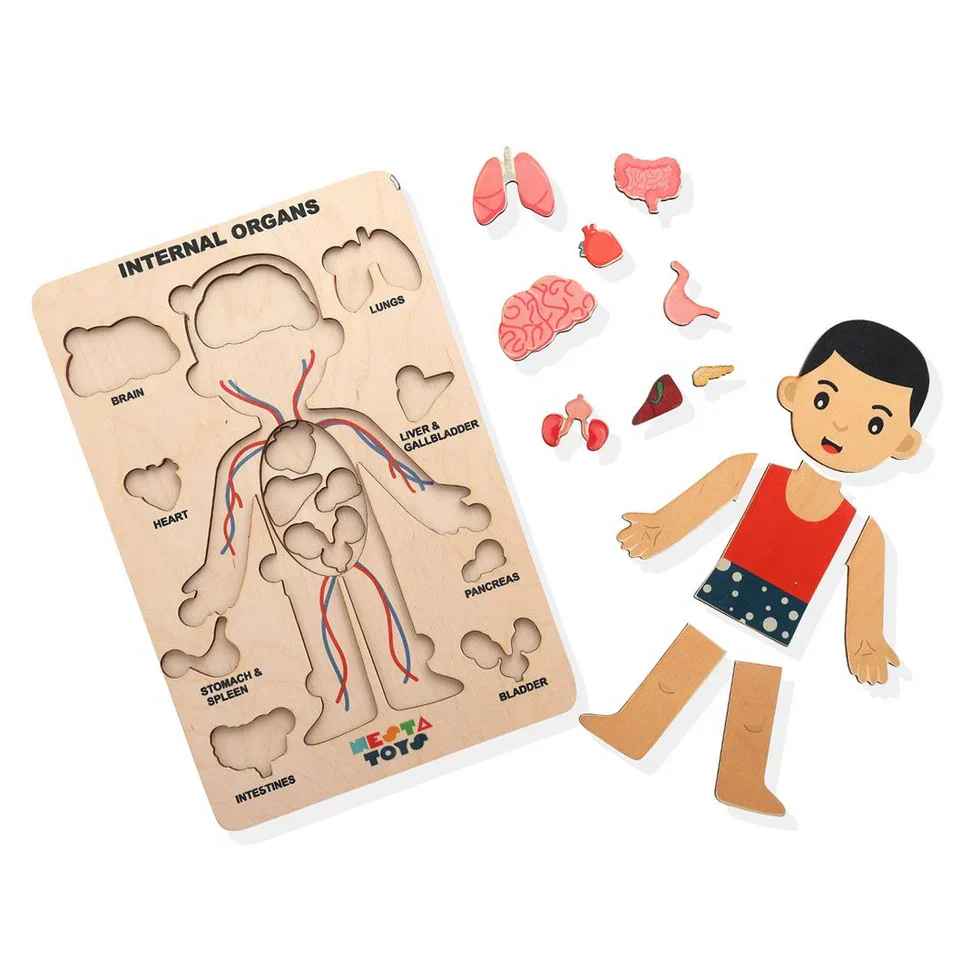 Human Body | Internal Organs Wooden Puzzle - Image 6